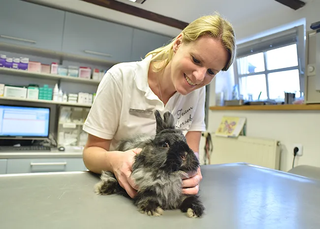 tierarzt kersebohm luenen dortmund bochum nrw 3