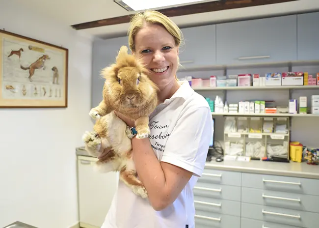 tierarztpraxis kersebohm behandlung bluhm luenen dortmund nrw